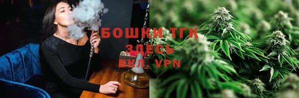 тгк Аркадак