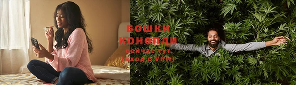 ГАЛЛЮЦИНОГЕННЫЕ ГРИБЫ Балахна