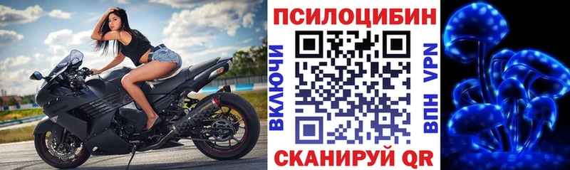 Галлюциногенные грибы мухоморы  Сокол 